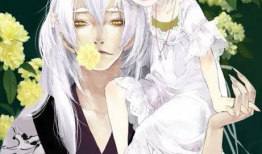 有哪些好看的动漫,盘点那些令人陶醉的精彩动漫佳作